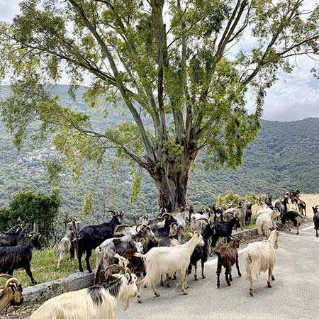 Photo Particuliers et Famille Terre 4x4