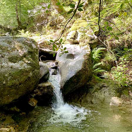 Photo Particuliers et Famille Terre 4x4