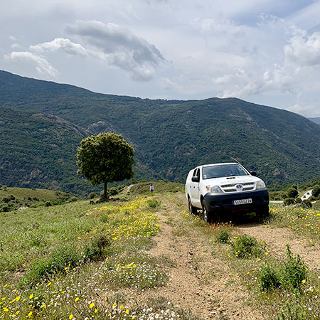 Photo Groupes et Entreprises Terre 4x4