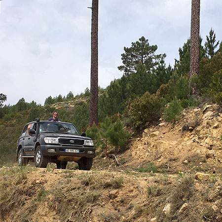 Photo Groupes et Entreprises Terre 4x4